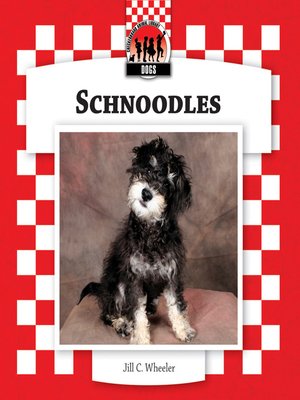cover image of Schnoodles